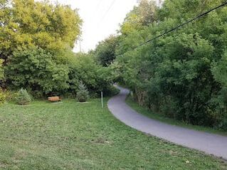 Paved walkway lined by trees and grass in Langstaff, Richmond Hill, Ontario